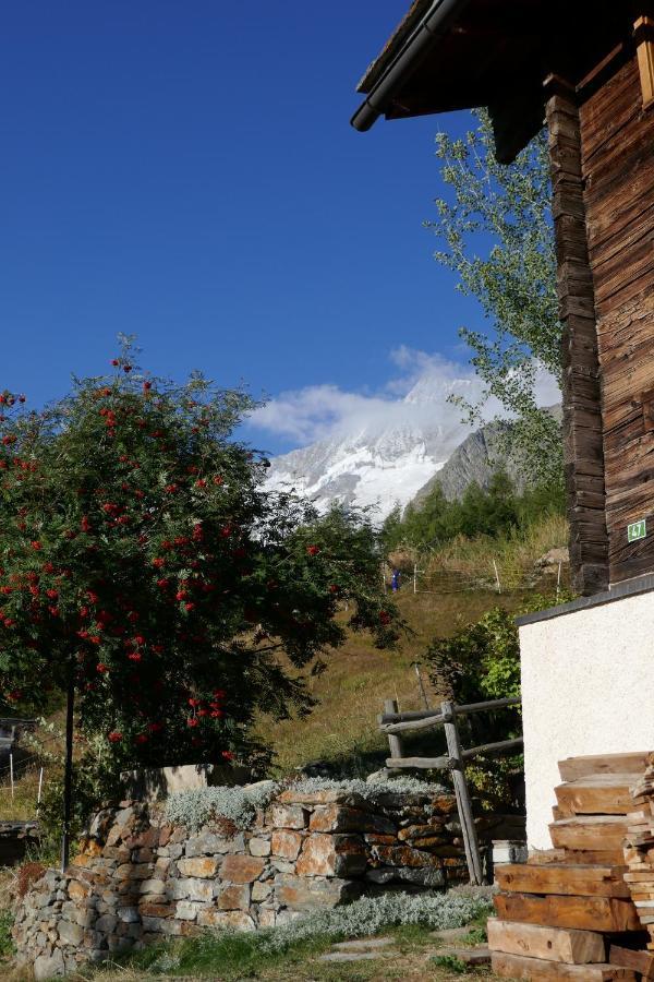 Châlet Birkhahn Saas Fee Exterior foto