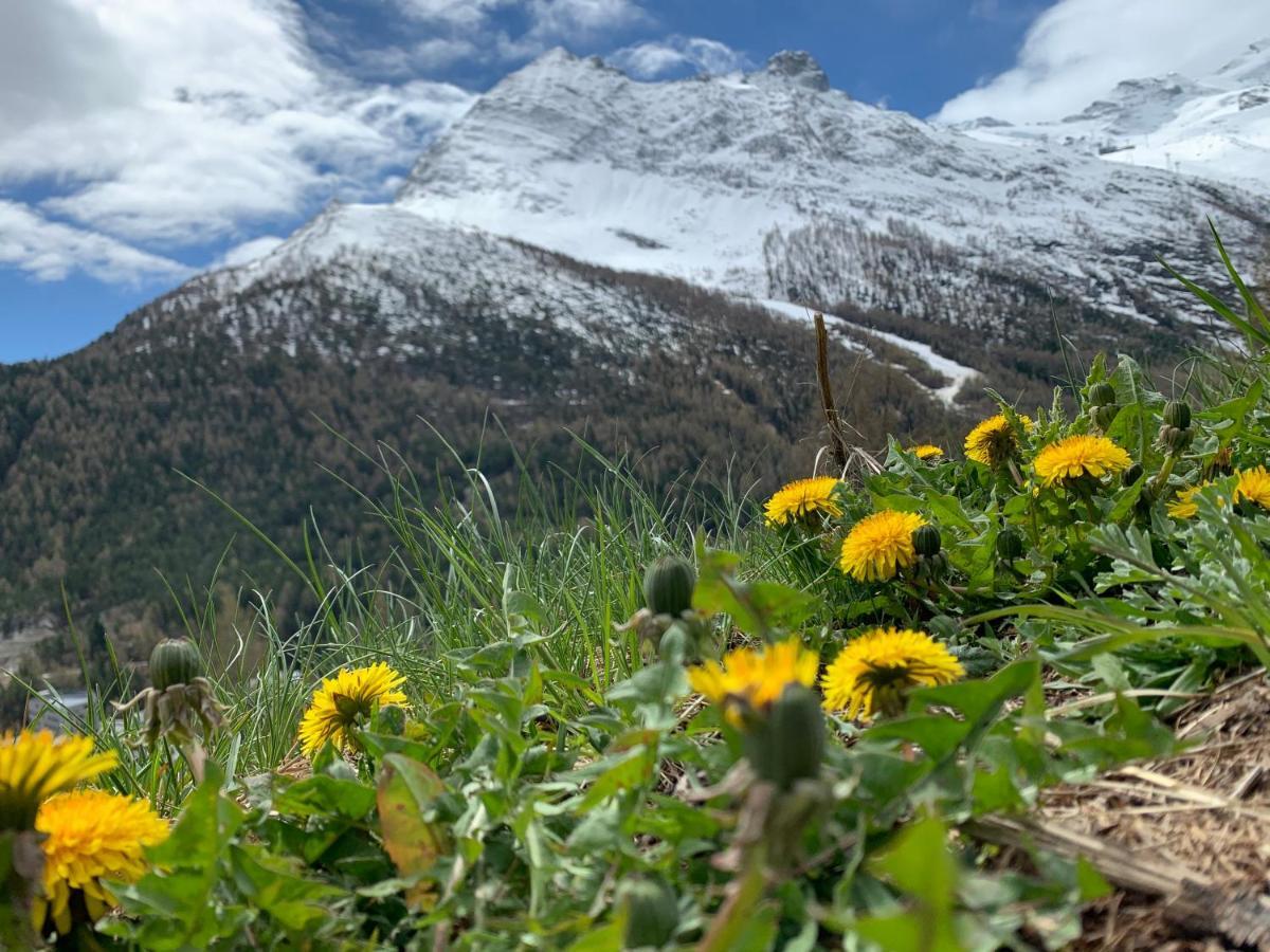 Châlet Birkhahn Saas Fee Exterior foto