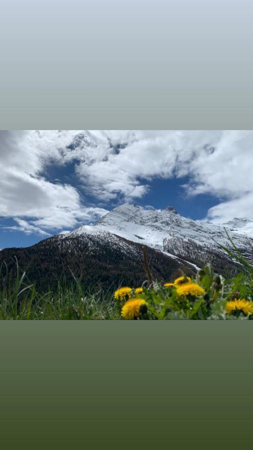 Châlet Birkhahn Saas Fee Exterior foto