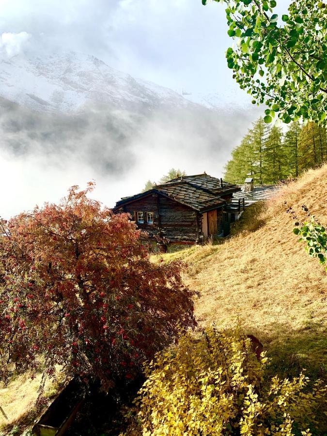 Châlet Birkhahn Saas Fee Exterior foto