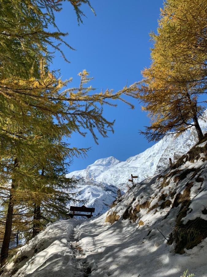 Châlet Birkhahn Saas Fee Exterior foto