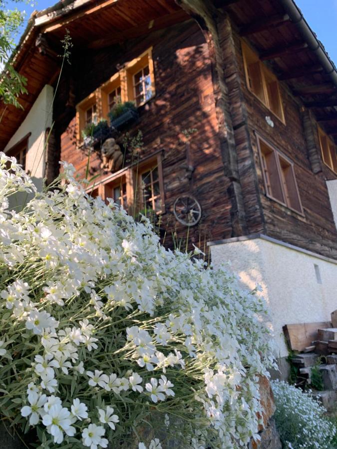 Châlet Birkhahn Saas Fee Exterior foto
