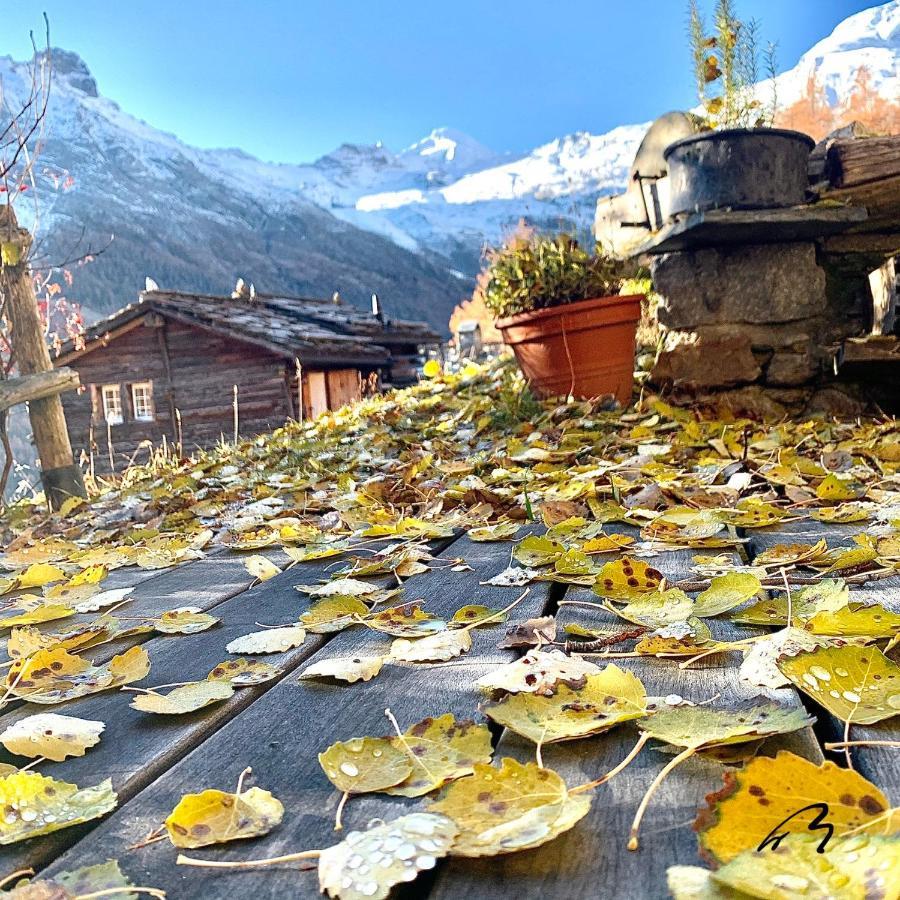 Châlet Birkhahn Saas Fee Exterior foto